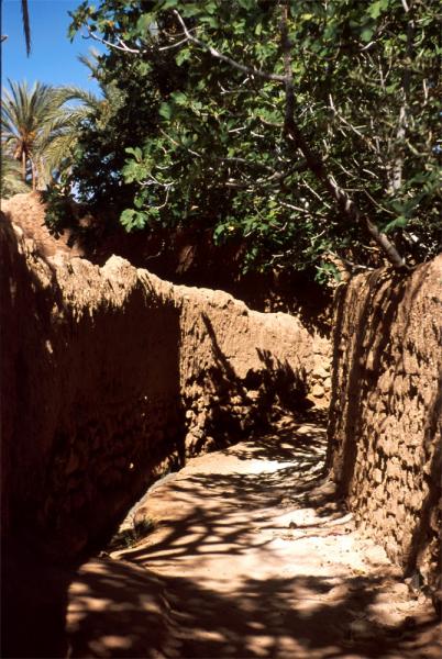 tasqaqt